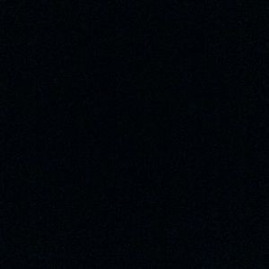 Meet your Posher, Cassidy